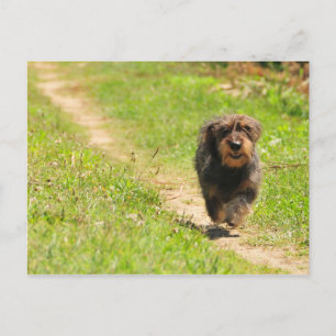 Carte Postale Temps de plaisir