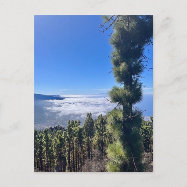 Carte Postale Tenerife bliss.. (Devant)