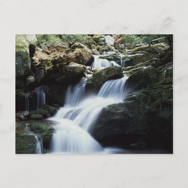 Carte Postale Tennessee, Great Smoky Mountains Parc national 3 (Devant)