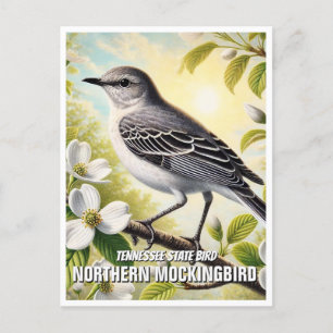 Carte Postale Tennessee State Bird Northern Mockingbird