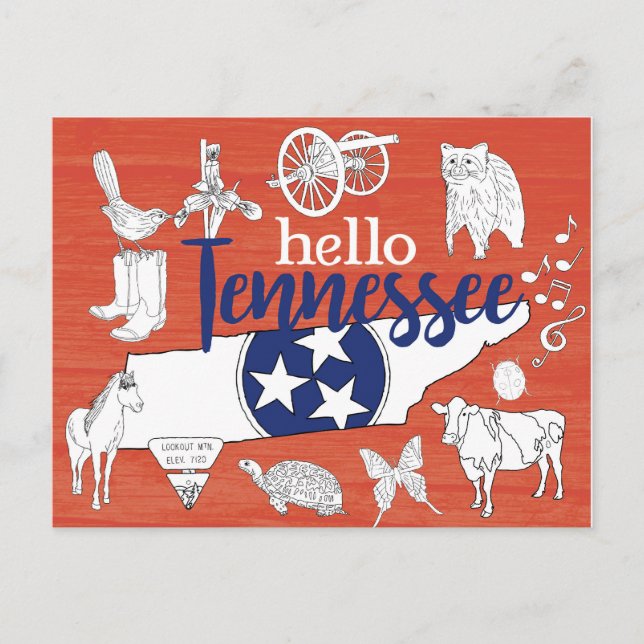 Carte Postale Tennessee Symboles d'État volontaire Images d'État (Devant)