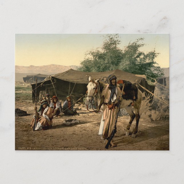 Carte Postale Tente bédouine en Terre Sainte (Devant)