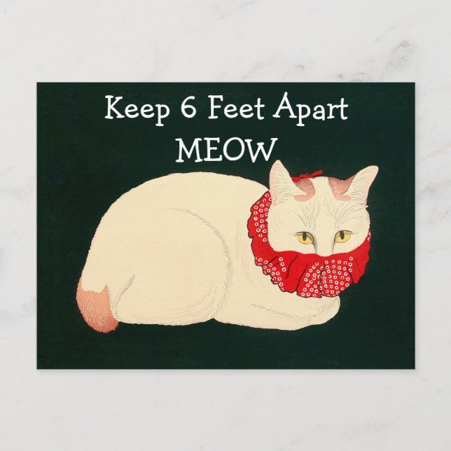 Carte Postale Tenue En Chat 6 Pieds Éparpillés (Devant)