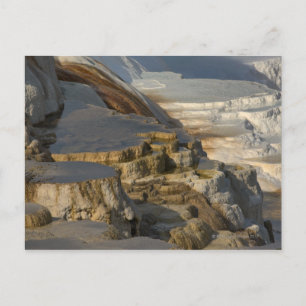 Carte Postale Terrace Mountain à Mammoth Hot Springs