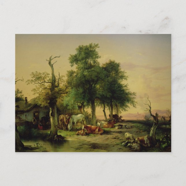Carte Postale Terrain de pâturage (Devant)