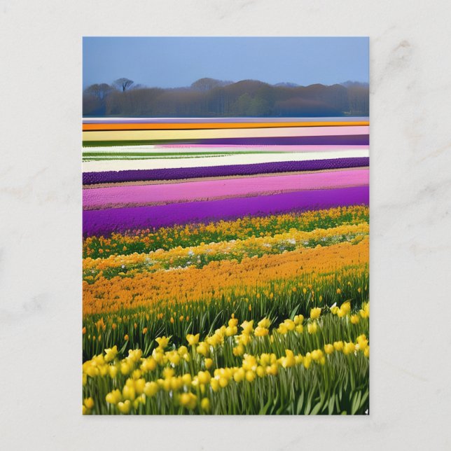 Carte Postale Terrain plein de tulipes, tulipes, fleurs, floral, (Devant)