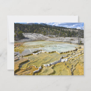 Carte Postale Terrasse de Lower Minerva, parc national de Yellow