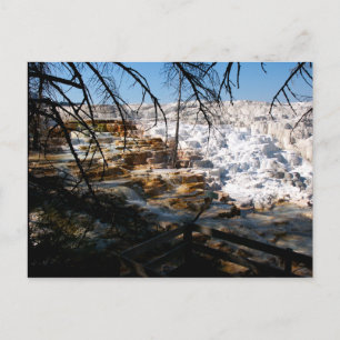 Carte Postale Terrasse en calcaire Mammoth Hot Spring Yellowston