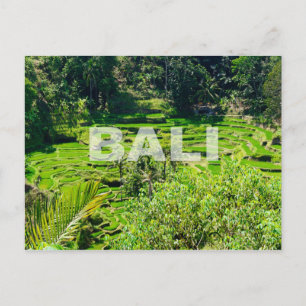 Carte Postale Terrasses Bali Rice