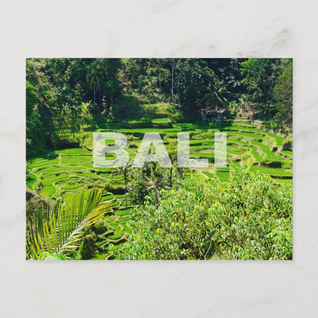 Carte Postale Terrasses Bali Rice (Devant)