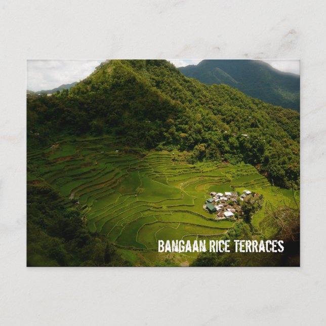 Carte Postale Terrasses Bangaan Rice (Devant)