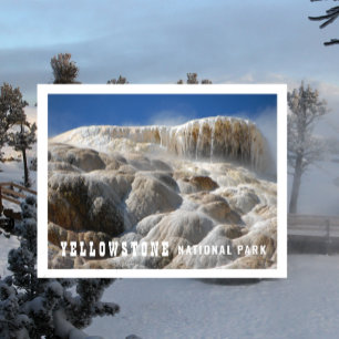 Carte Postale Terrasses de travertine Mammoth Hot Springs