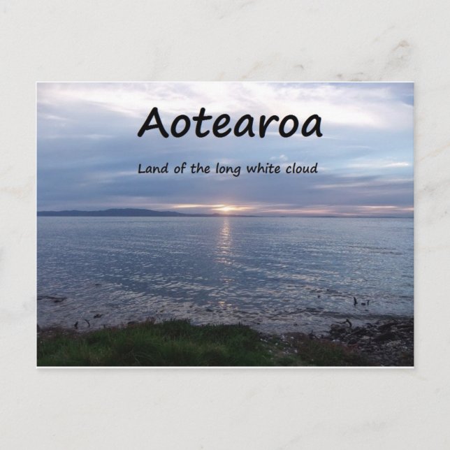 Carte Postale Terre d'Aotearoa du long nuage blanc (Devant)