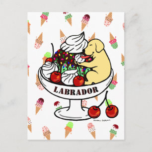 Carte Postale Terre-Neuve-et-Labrador