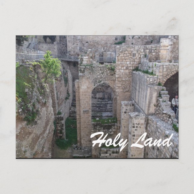 Carte Postale Terre Sainte-Israël (Devant)