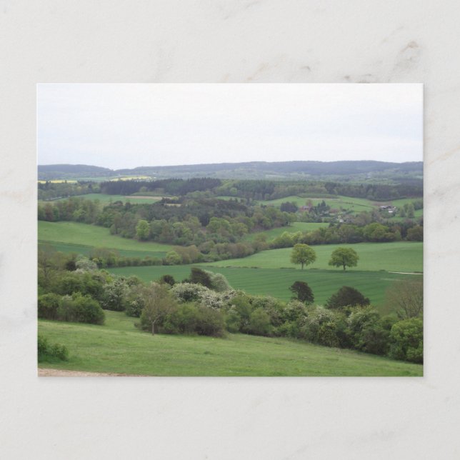 Carte postale Terre verte et agréable (Devant)