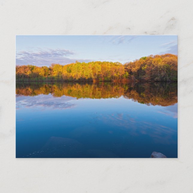 Carte Postale Terres boisées du parc Marthaler et lever du solei (Devant)