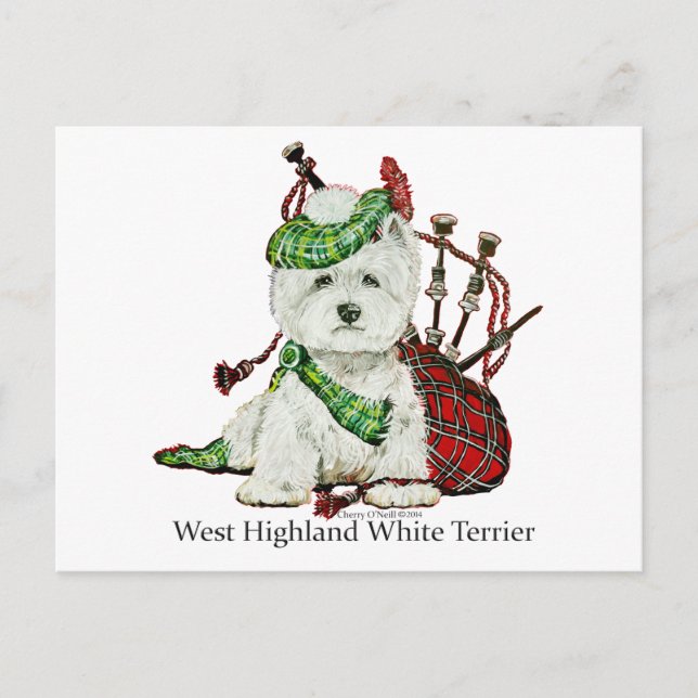 Carte Postale Terrier de West Highland (Devant)