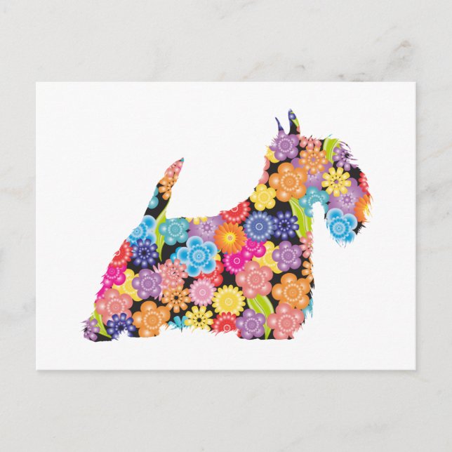 Carte Postale Terrier Écossais (Devant)