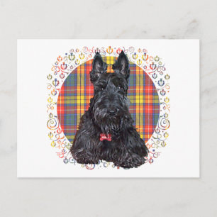 Carte Postale Térrier écossais sur plaid Buchanan