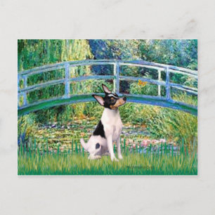 Carte Postale Terrier Fox Jouet - Pont
