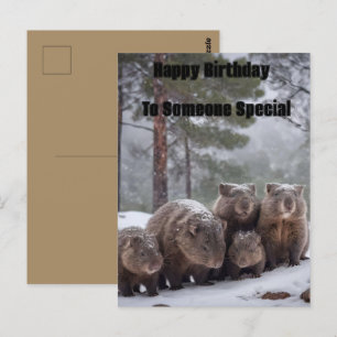 Carte Postale Terrier gelé : famille de wombats australiens, ann