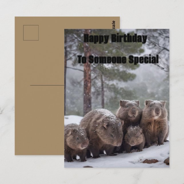 Carte Postale Terrier gelé : famille de wombats australiens, ann (Devant / Derrière)