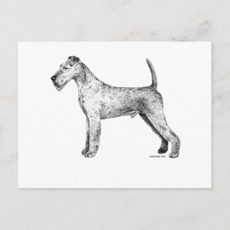 Carte Postale Terrier irlandais
