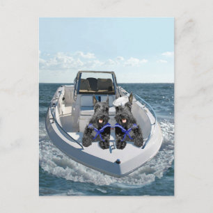 Carte Postale Terriers écossais sur le bateau