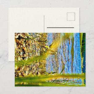 Carte Postale Test