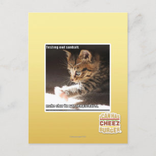 Carte Postale Test de owt sunbaff