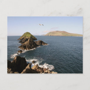 Carte Postale Tête à coudre