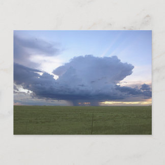 Carte Postale Tête bleue
