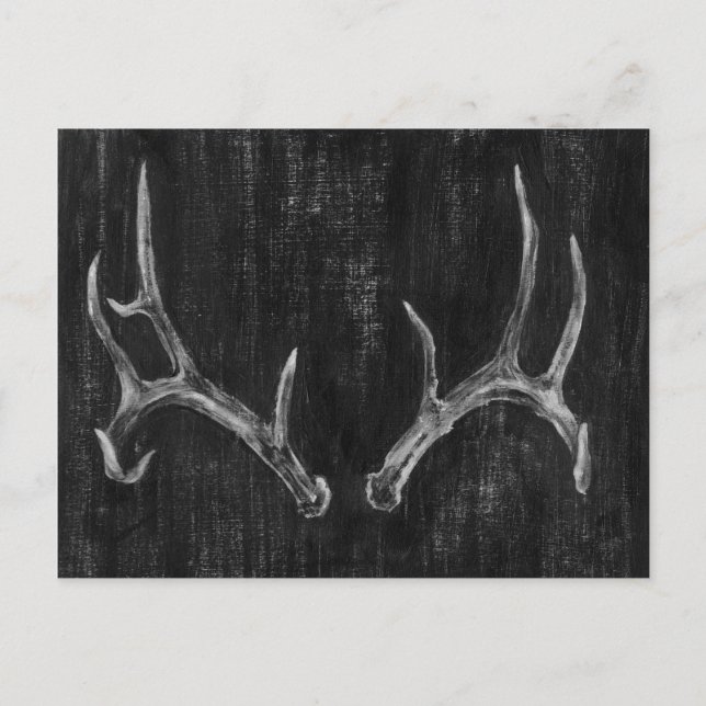 Carte Postale Tête d'animal de cerf rustique sur tableau de bord (Devant)