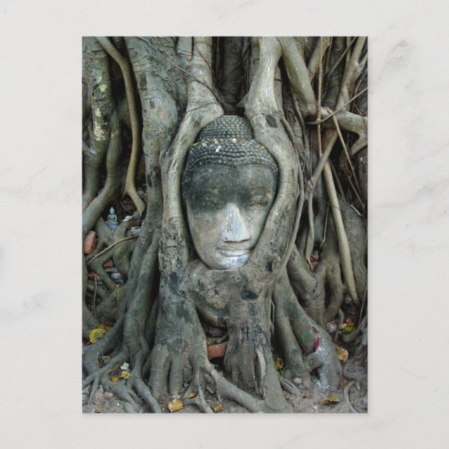 Carte Postale Tête de Bouddha (Devant)