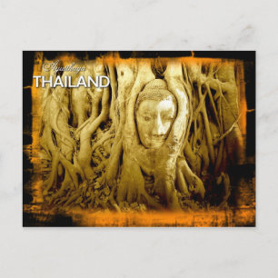 Carte Postale Tête de bouddha enchevêtrée dans les racines de fi