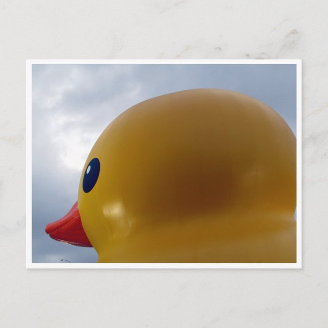 Carte Postale tête de canard ronde (Devant)