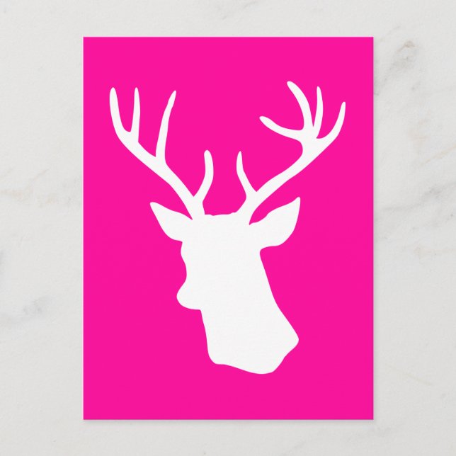 Carte Postale Tête de cerf blanc - rose chaud (Devant)