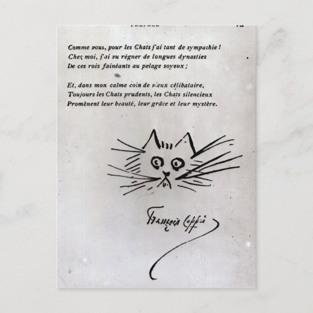 Carte Postale Tête de chat (Devant)