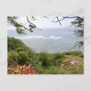 Carte Postale Tête de diamant