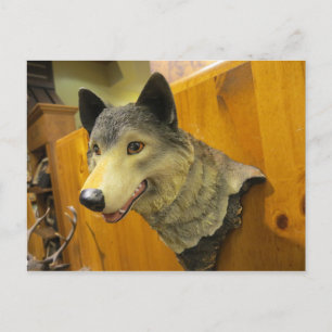 Carte Postale Tête de loup décoratif