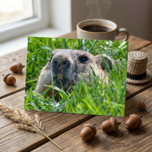 Carte Postale Tête de marmotte réaliste pointant à travers l'art