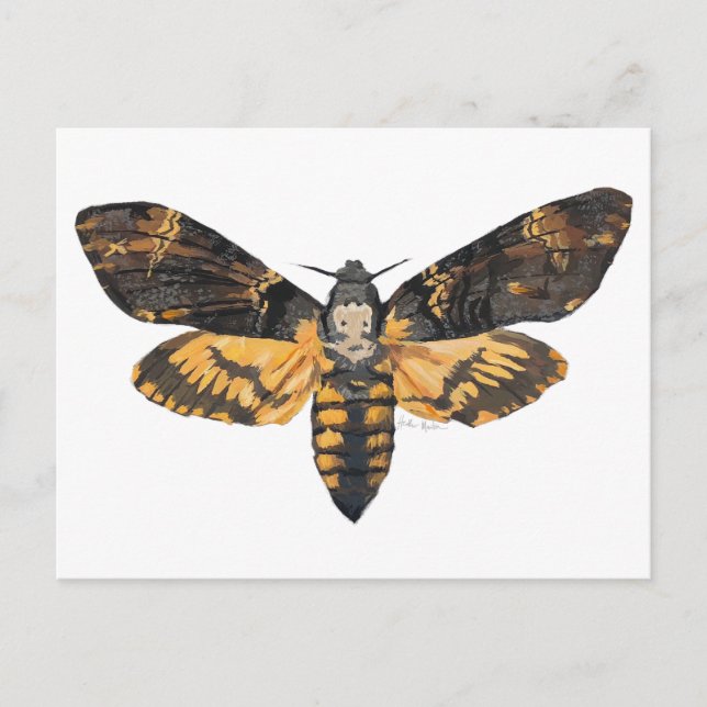 Carte postale Tête de Mort (Devant)