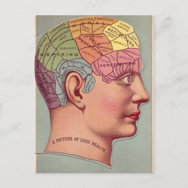 Carte Postale Tête de pharmacologie en couleur (Devant)
