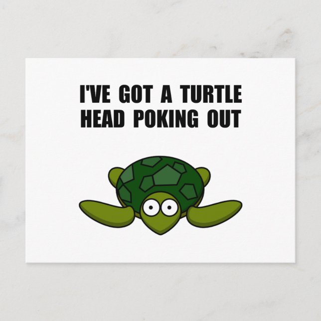 Carte Postale Tête de tortue arrachée (Devant)