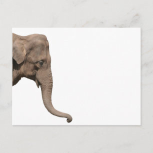 Carte Postale Tête d'éléphant