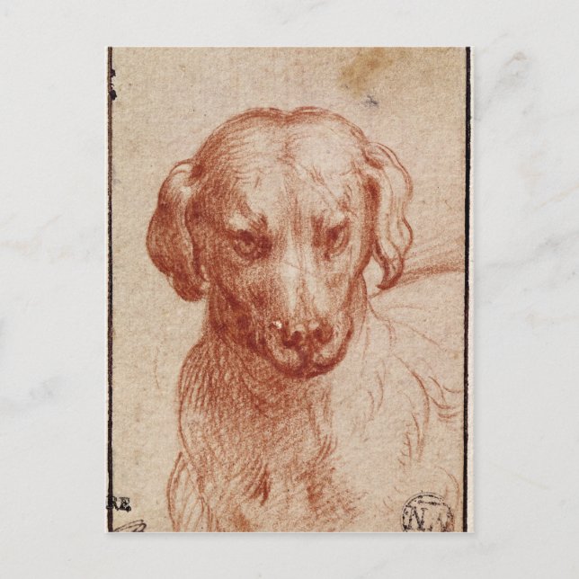 Carte Postale Tête d'un Chien (Devant)