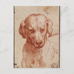 Carte Postale Tête d'un chien
