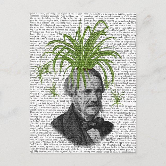 Carte Postale Tête Plante Spider (Devant)