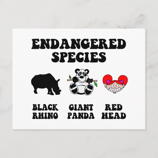 Carte Postale Tête rousse drôle (Devant)